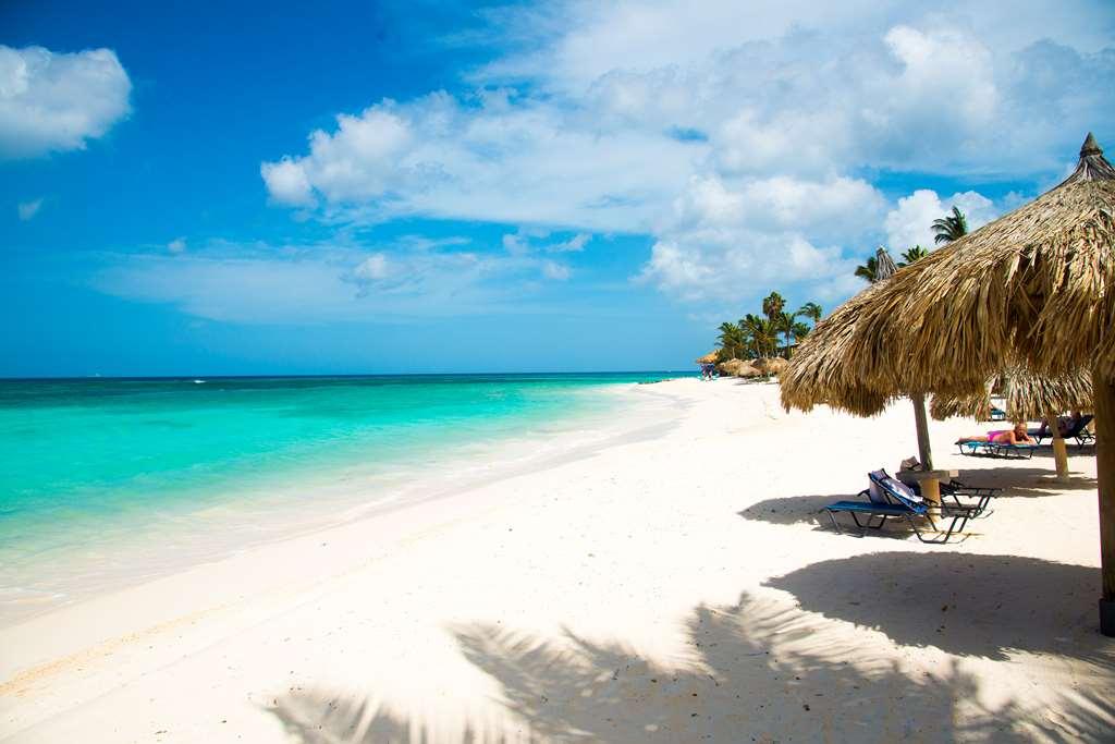 Divi Dutch Village Beach Resort 팜비치 자연 사진